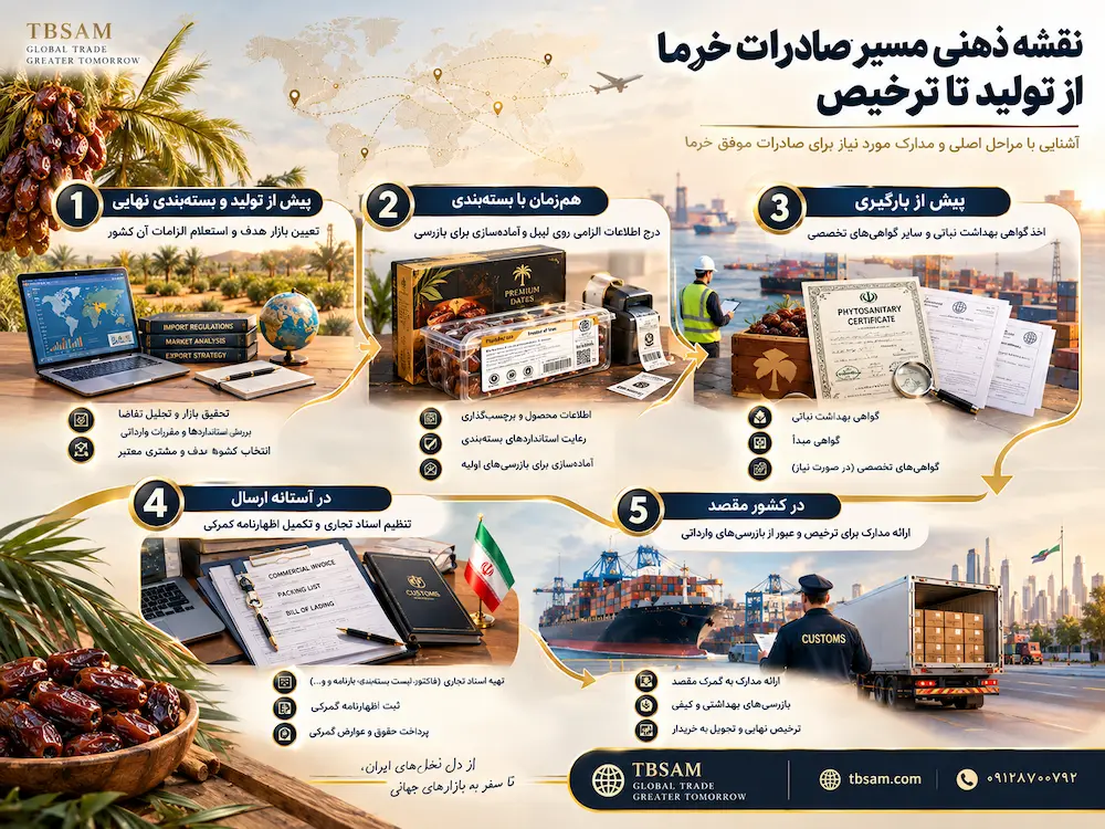 نقشه ذهنی مسیر صادرات خرما از تولید تا ترخیص