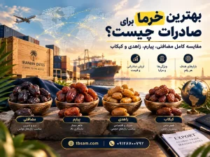 بهترین خرما برای صادرات چیست