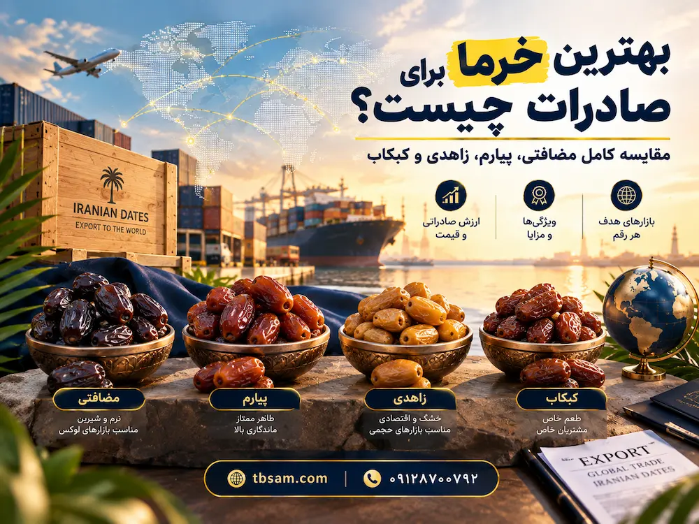 بهترین خرما برای صادرات چیست